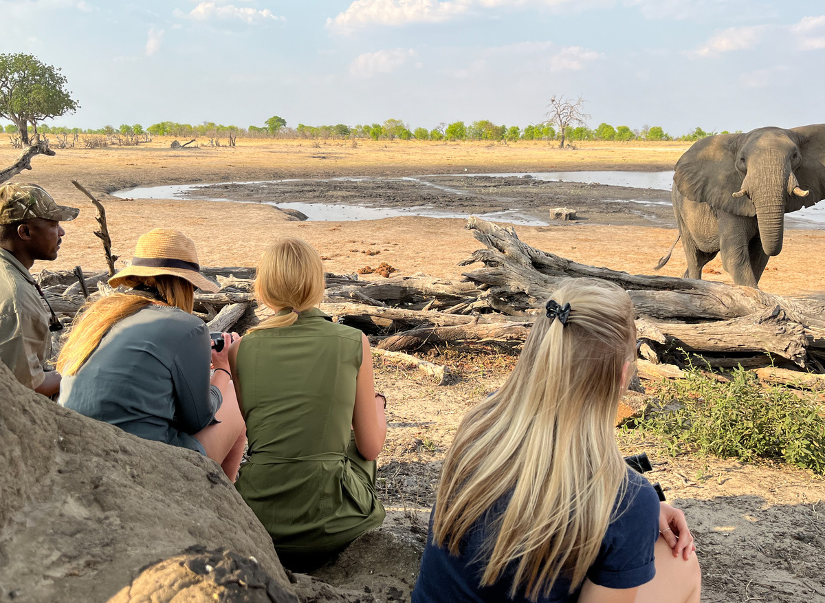 CampHwange_logpile_hide_01