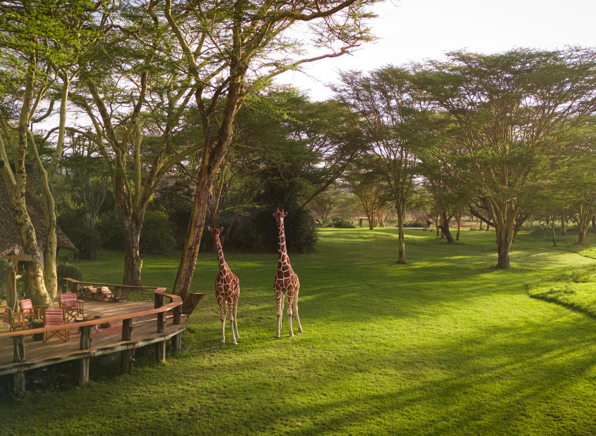 2024 - cottage exterior - Kiko & Nditu.jpg