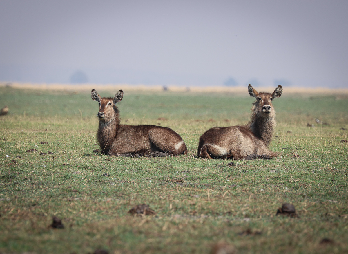 36713CA3-72C8-43B2-977BF38F7A049E30_17