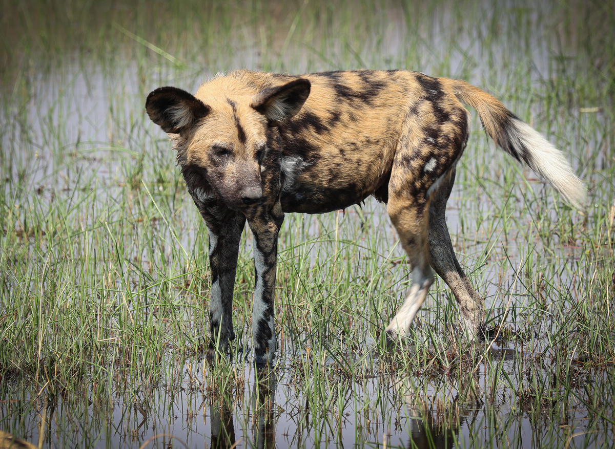 36713CA3-72C8-43B2-977BF38F7A049E30_10