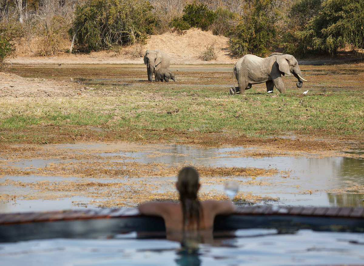 Molori Mashuma Mana Pools View from Pool.jpg