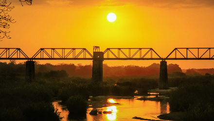 kedar-gadge-zbEhOXfKvFQ-unsplash.jpg 2