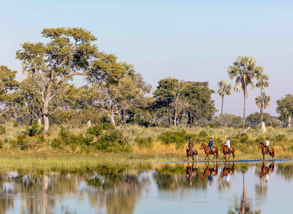 Riding palm trees1 low.jpg
