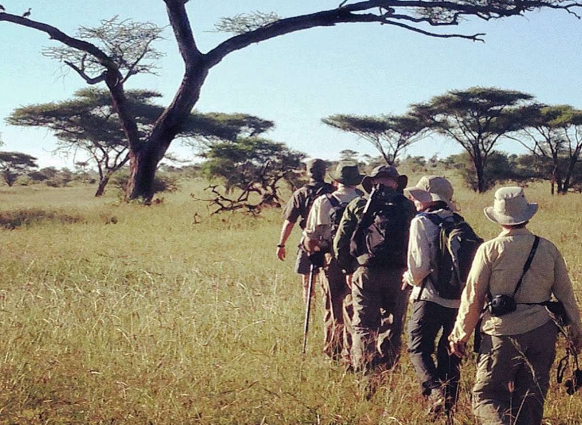 WALKING DSAFARI123.jpg