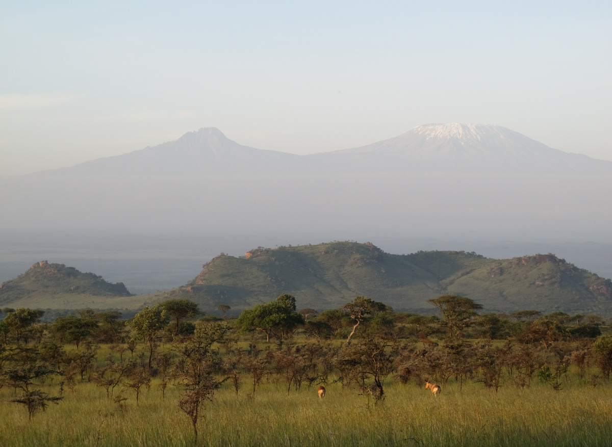 Kanzi Conservancy