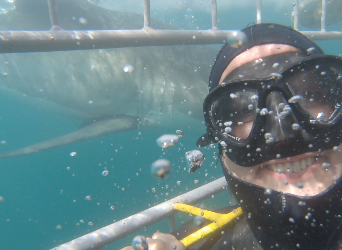 Shark Selfie