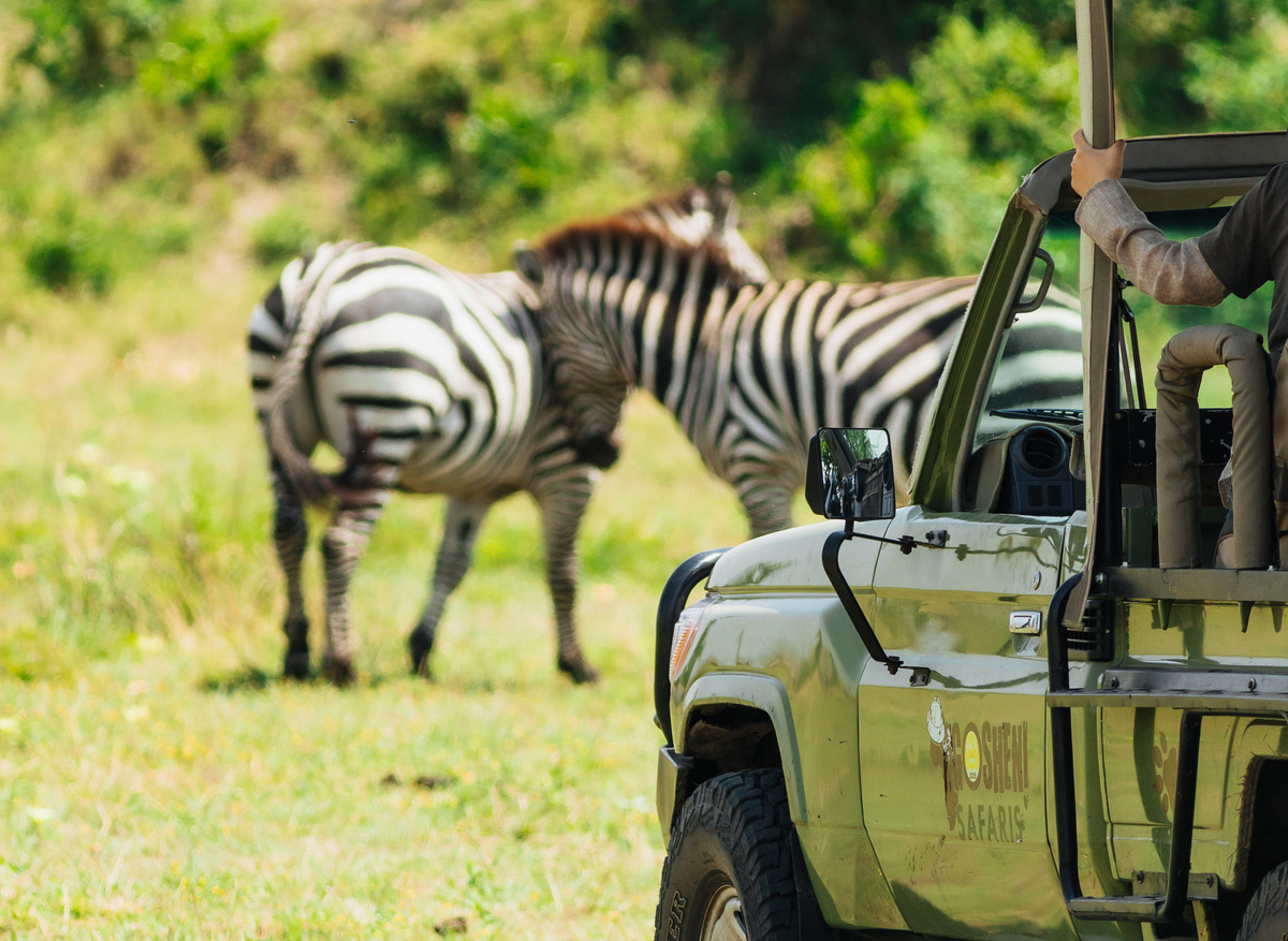 gosheni open jeep - 58.jpg