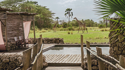 Chem-Chem-Lodge-Safari-Tanzania-Accommodation-Luxury-Pool-Area-Giraffe.jpg