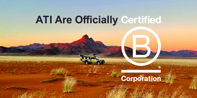 BCorp+Newsletter+Header+1.jpg