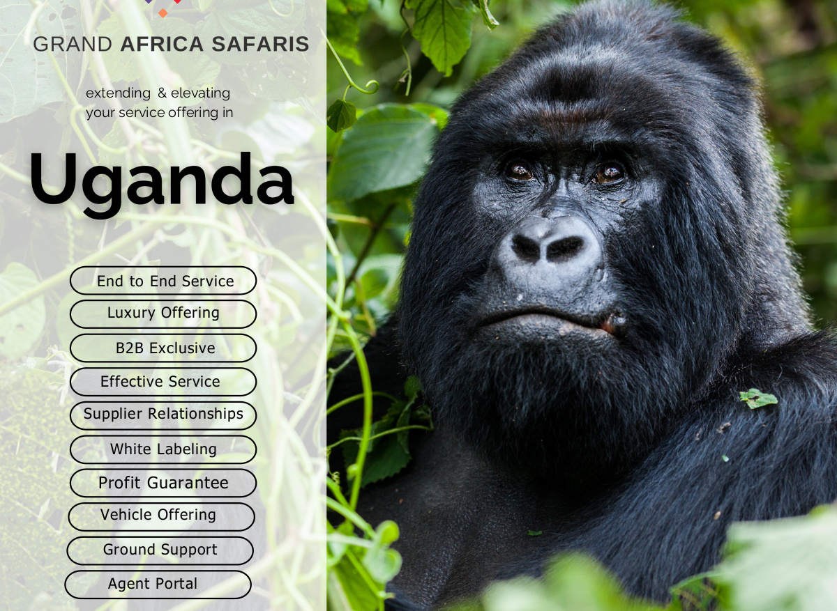 12E9A020-E4E5-4071-B3D1B6675C22BA35_17