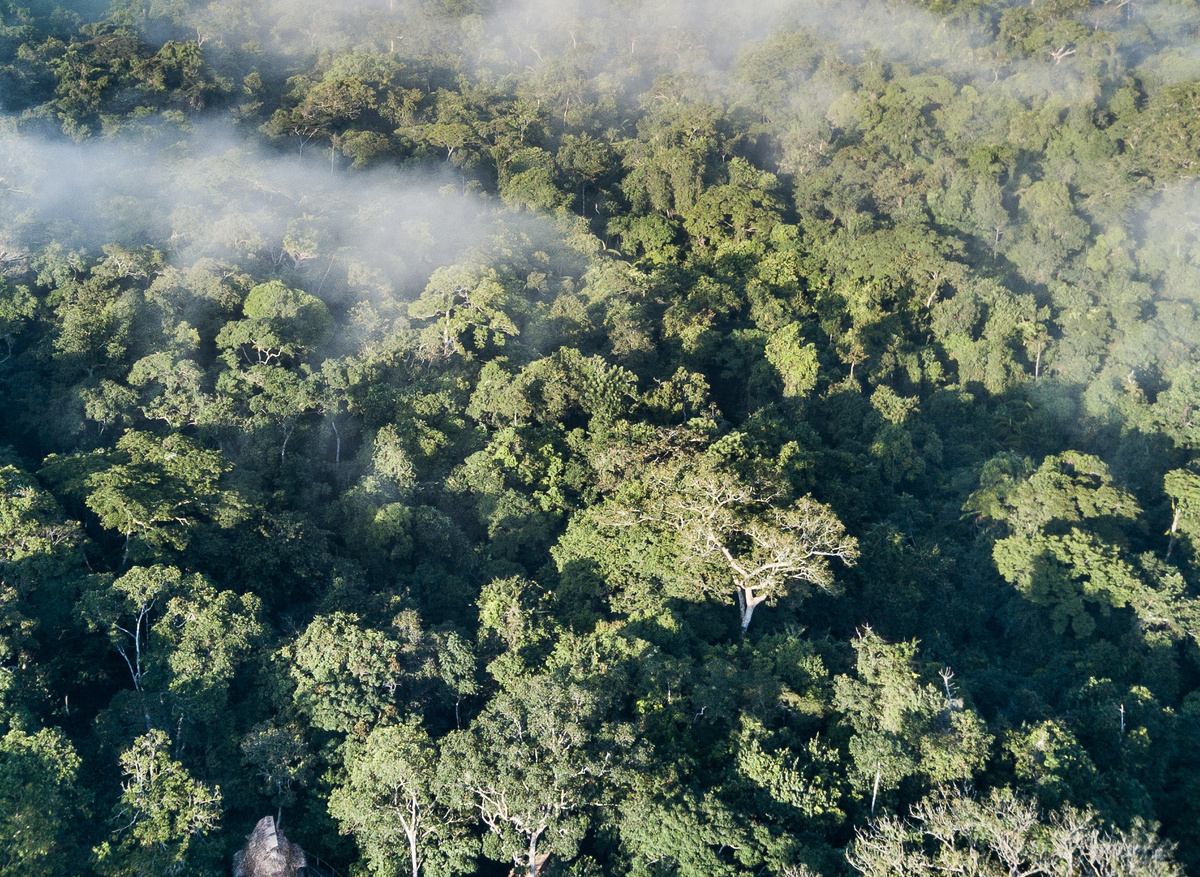 Kamba_Congo Basin_scott_ramsey038.jpg