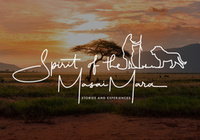 SOTMM Logo background image.jpg