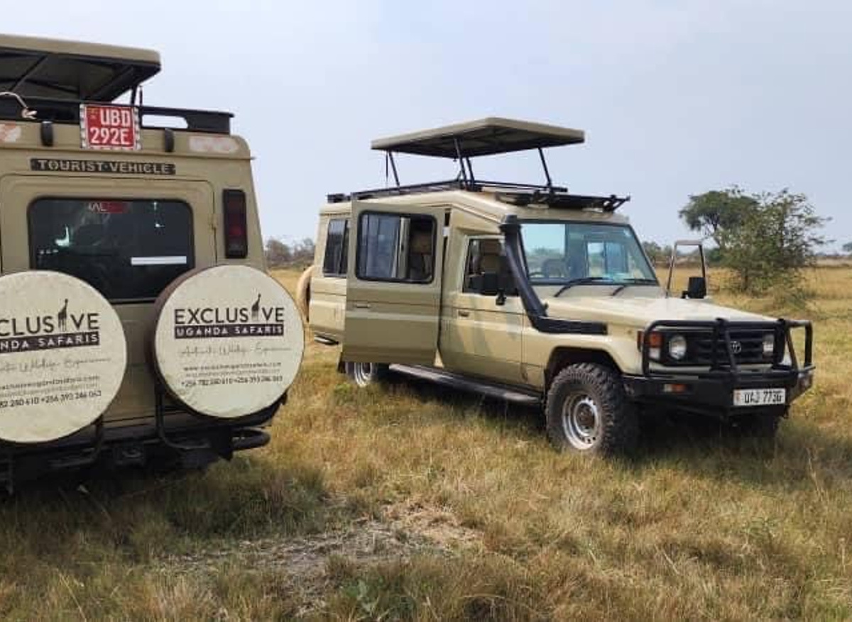 Ishasha Game Drives.jpg