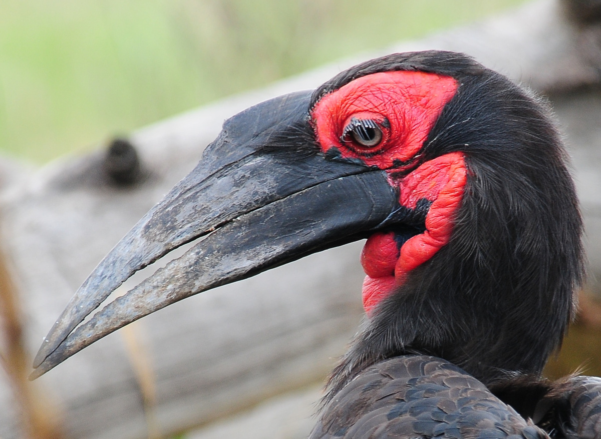 I spy with my little eye