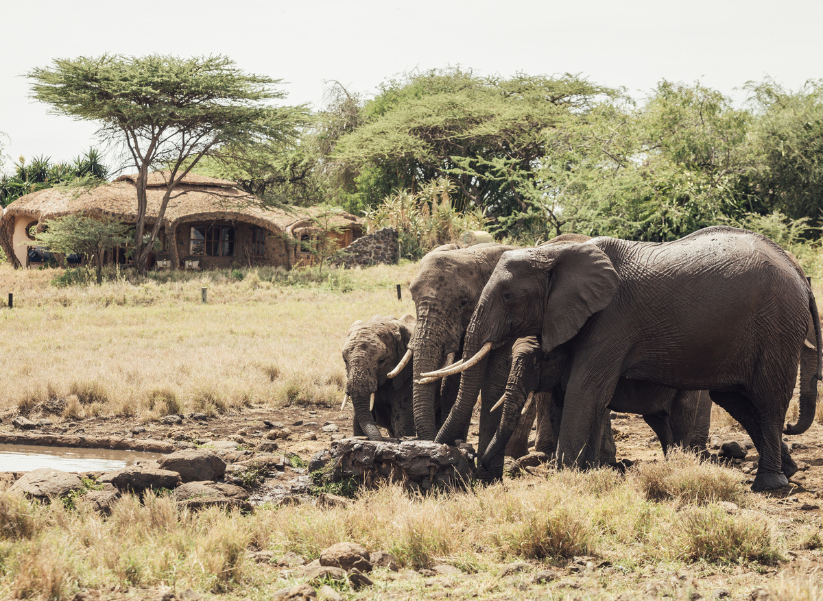 BB 2019_LEWA (Lodge)-11-LOW.jpg