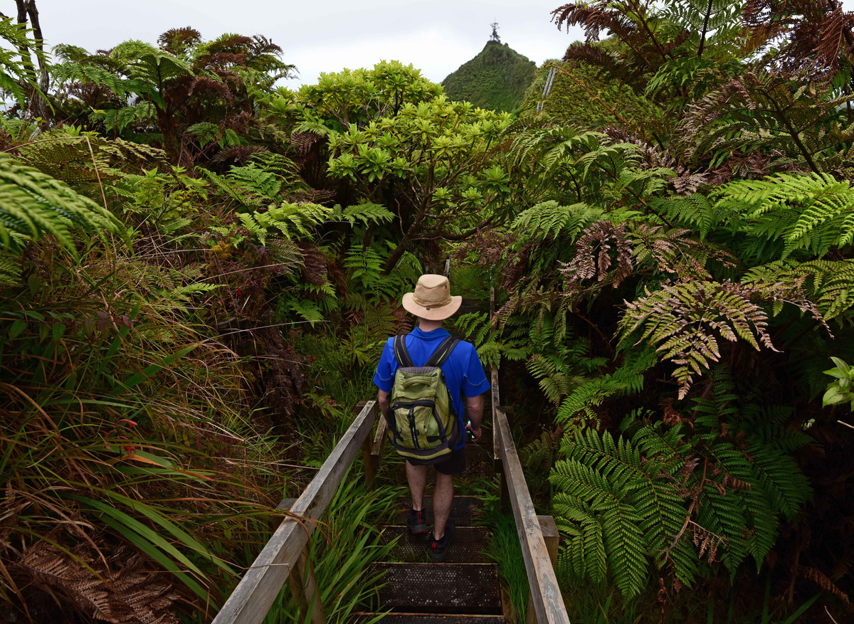 A hike through the island's densely vegetated interior. Photo by Ed Thorpe.jpg