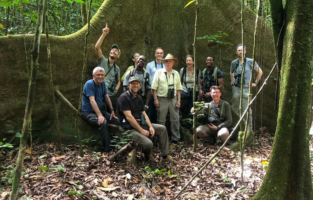 Protecting Rainforest.JPG