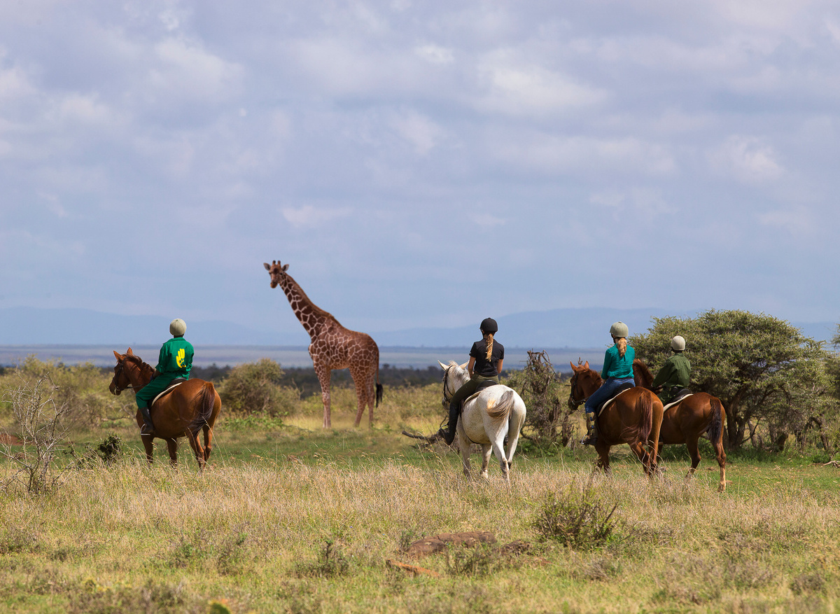 Horse riding in Laikipia