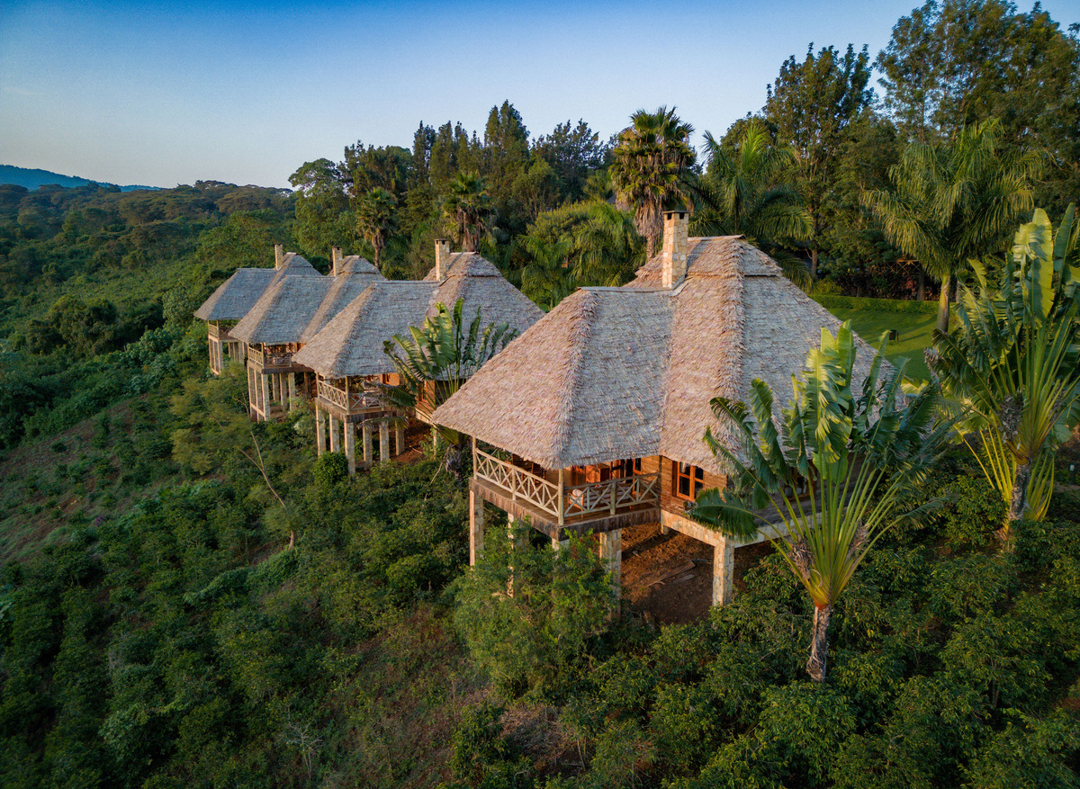 Luxury suites Neptune Ngorongoro with coffee plantation view .jpeg