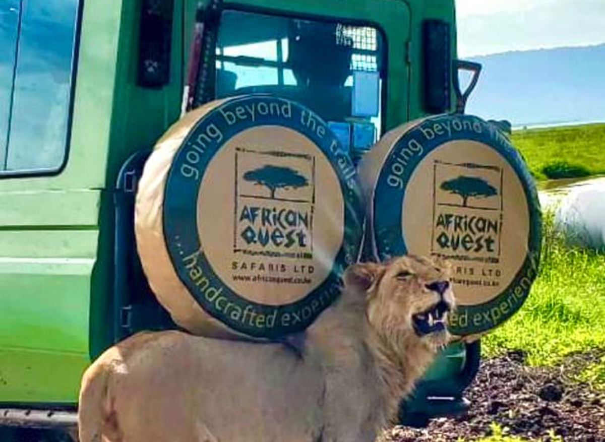 African Quest Safaris.jpg