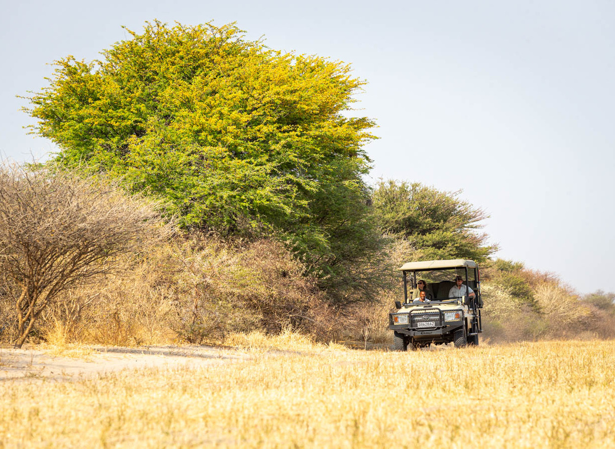 Game Drive