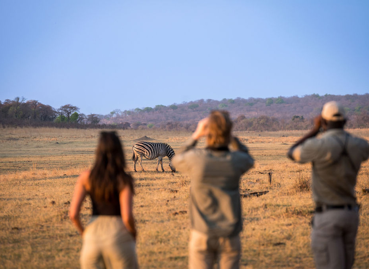 Matetsi Victoria Falls_walking_safari.jpg