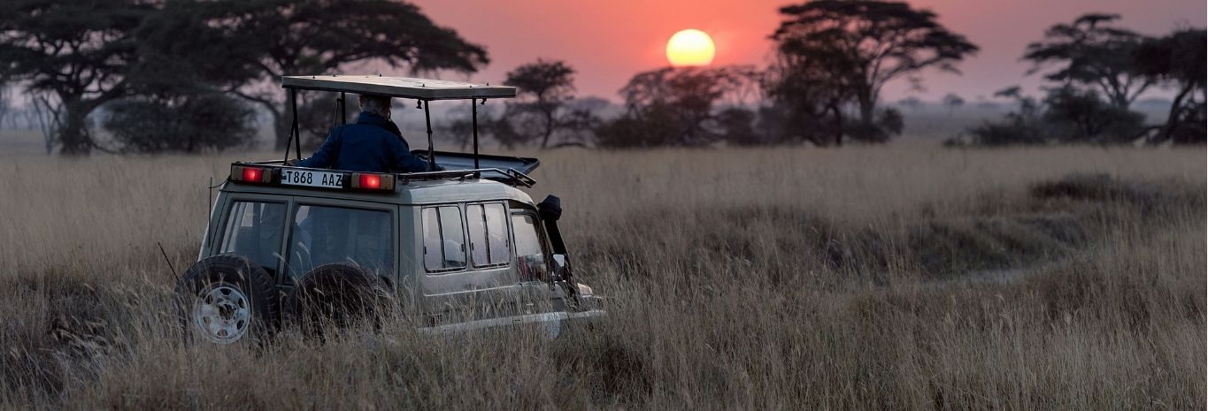 Safari Vehicle at Sunset