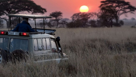 Safari Vehicle at Sunset
