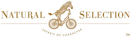Natural Selection.png