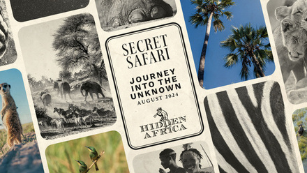 Secret-Safari-Post.jpg