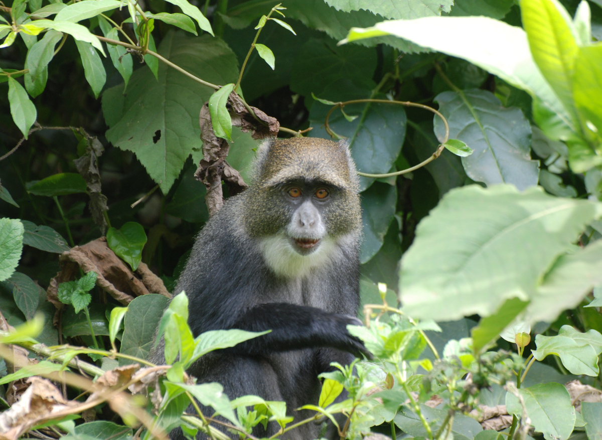 Tanzania Tim H 395.JPG