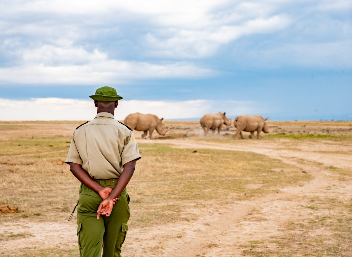 Ranger with rhinos.jpg