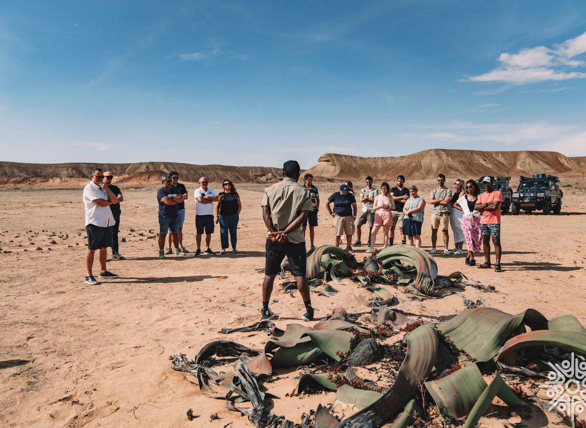 Desert Expedition 