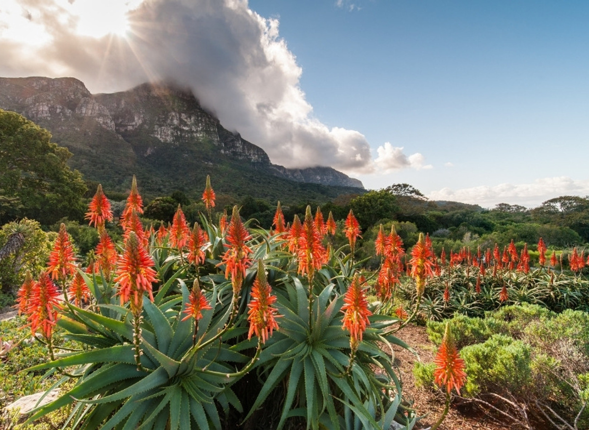 GARDENS TO GRAPES.jpg