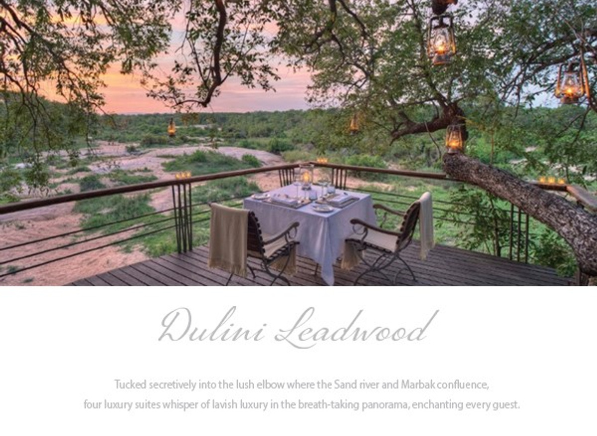 (1) Dulini Leadwood - Banner.jpg