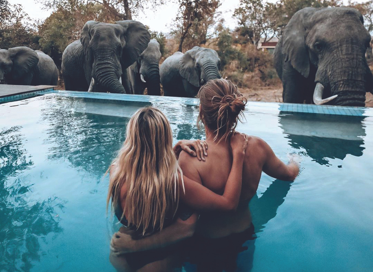 Elephants at the pool at Mantobeni