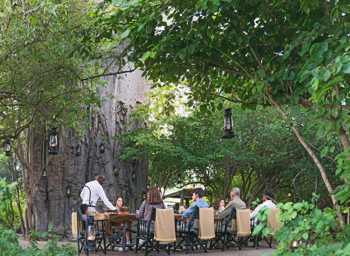 Forest-Chem-Chem-Safari-Tanzania-East-Africa-Experience-Family-Dining-Baobab-Tree.jpg
