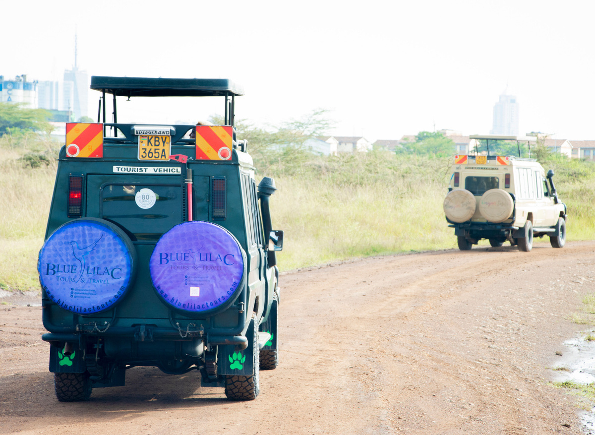 Game Drives.JPG