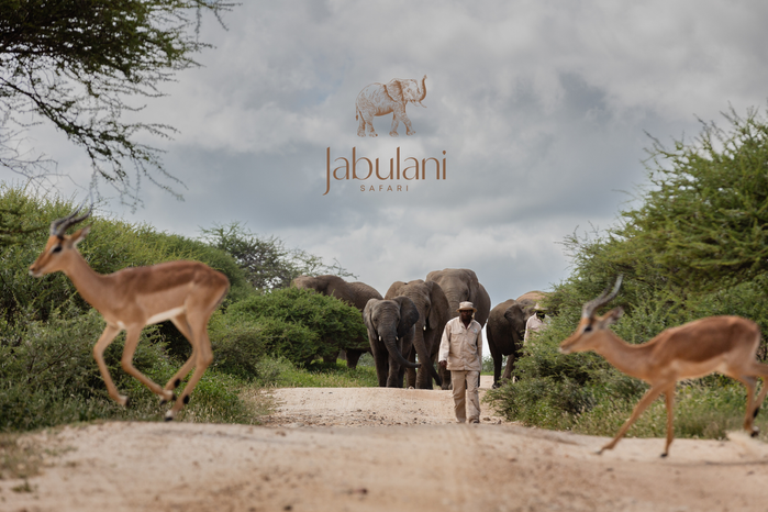 Jabulani+%283%29+%281%29.png