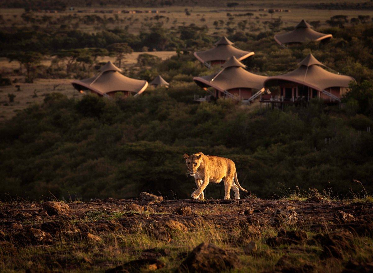 Mahali Mzuri - Tents
