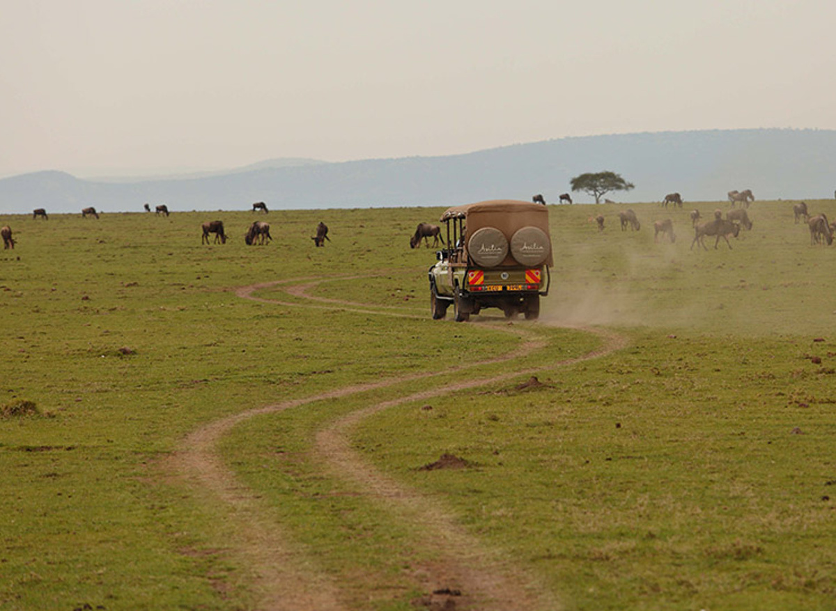 Ngorongoro crater