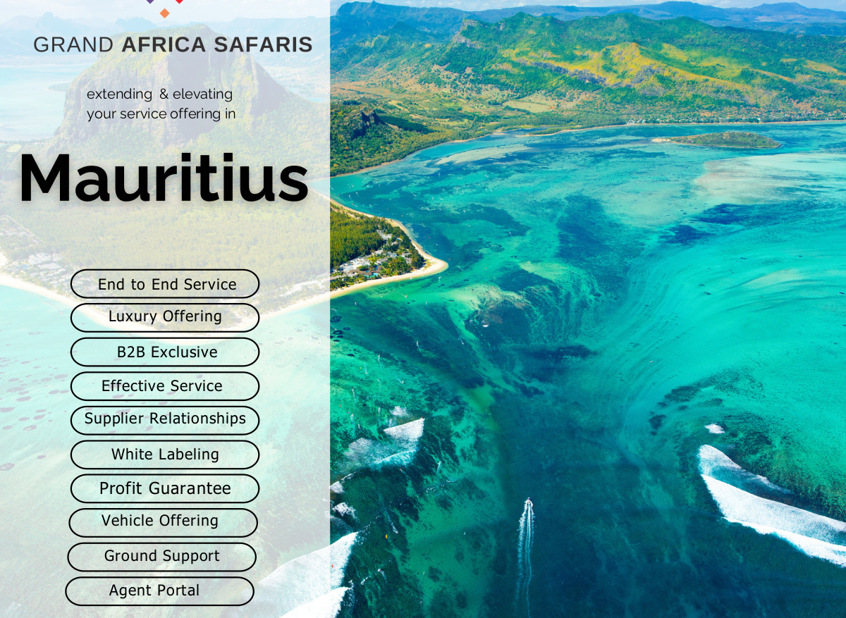 12E9A020-E4E5-4071-B3D1B6675C22BA35_9