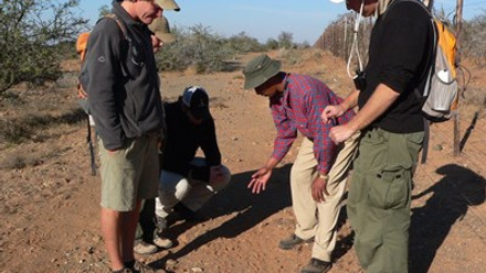walk-with-pokkie-benadie-volunteer-programme-samara-conservation-karoo-south-africa copy.JPG