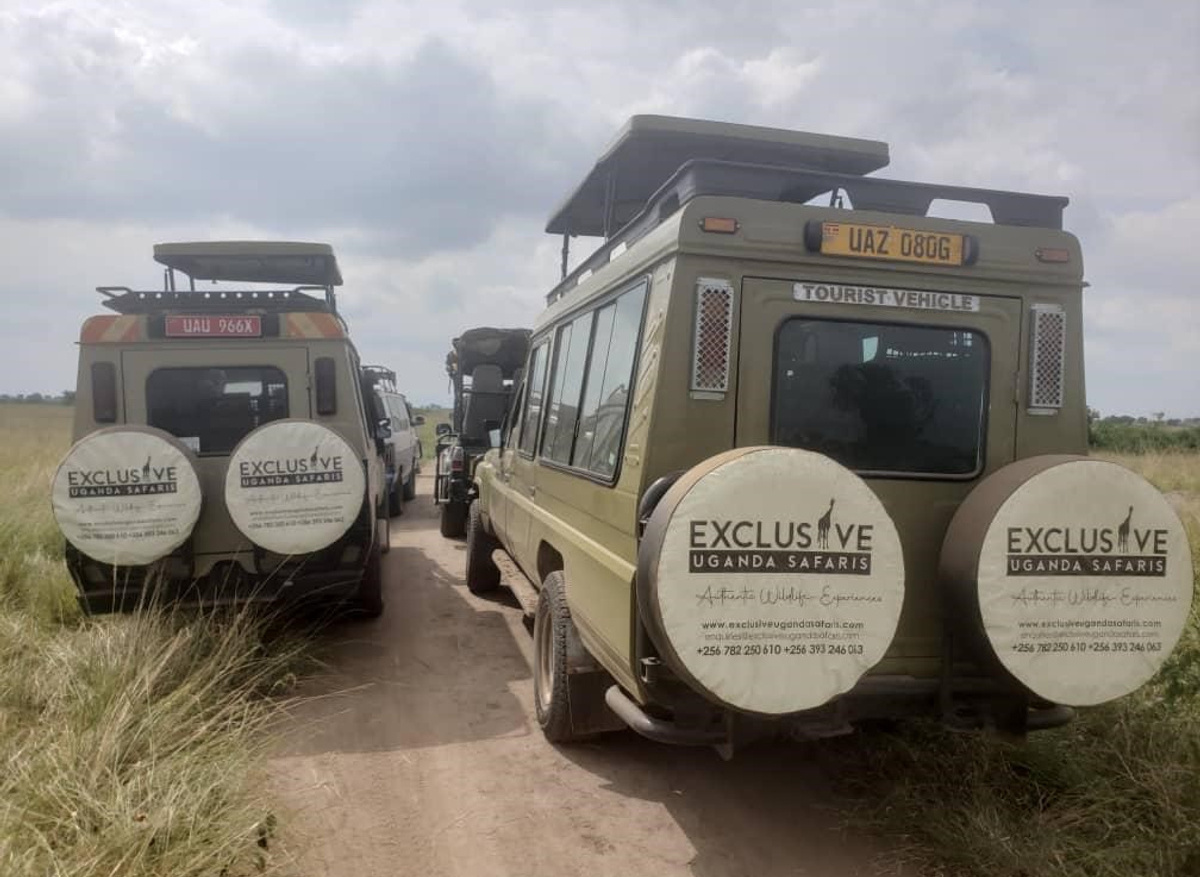 Game Drive_Kasenyi.jpg