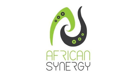 African Synergy Logo.jpeg