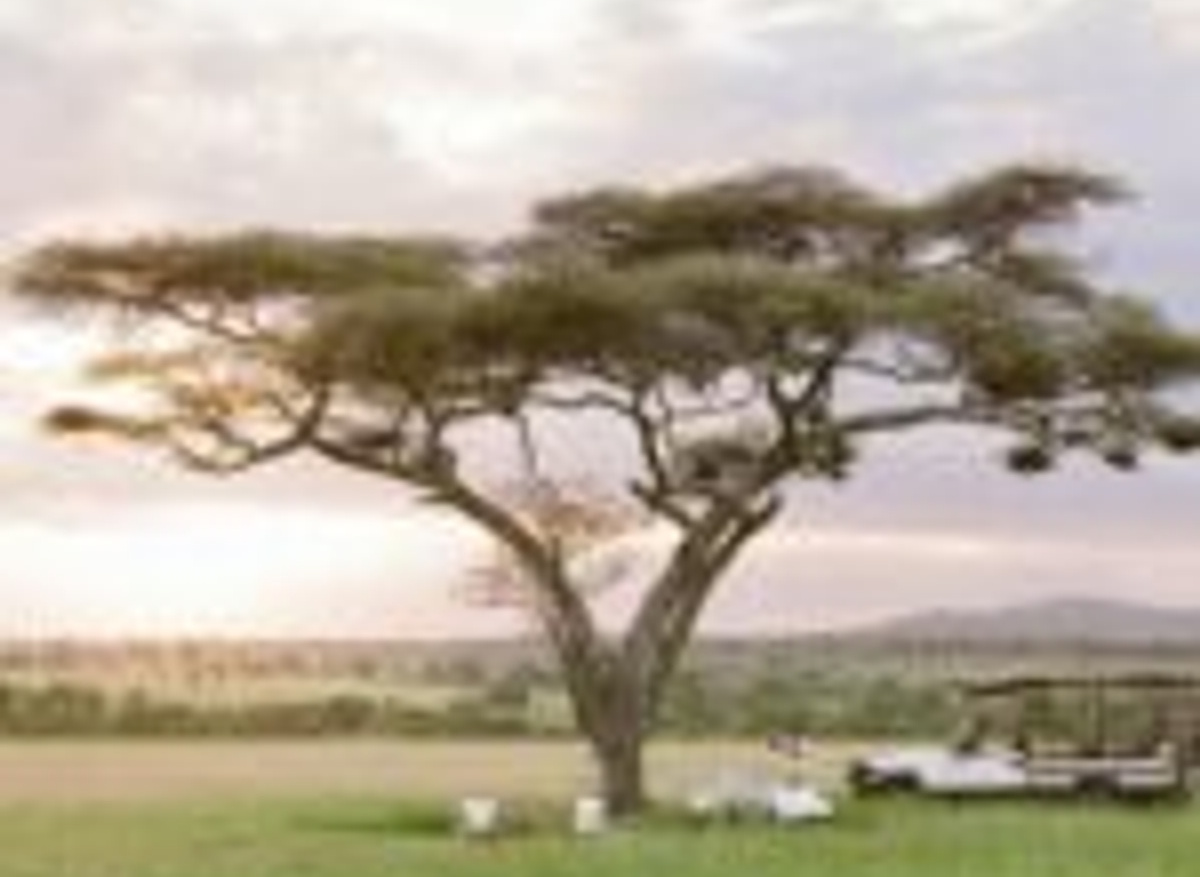 private sundowner at Roving Bushtops.jpg