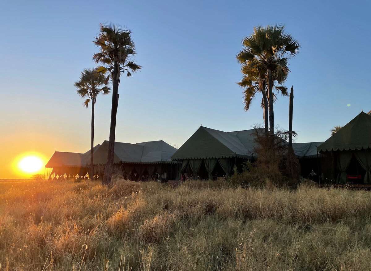 Jack's Camp Sunrise