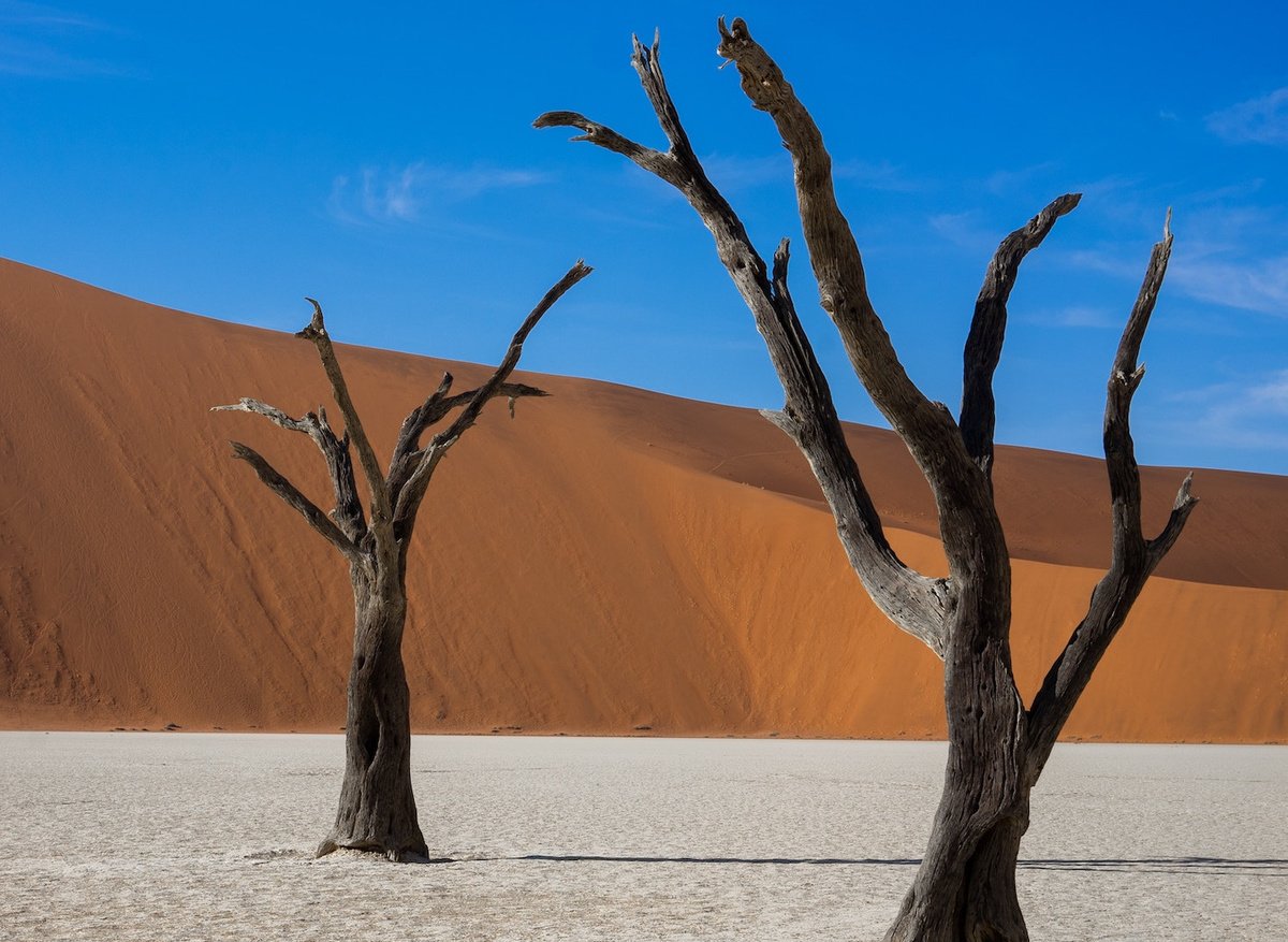 deadvlei-namibia.jpeg