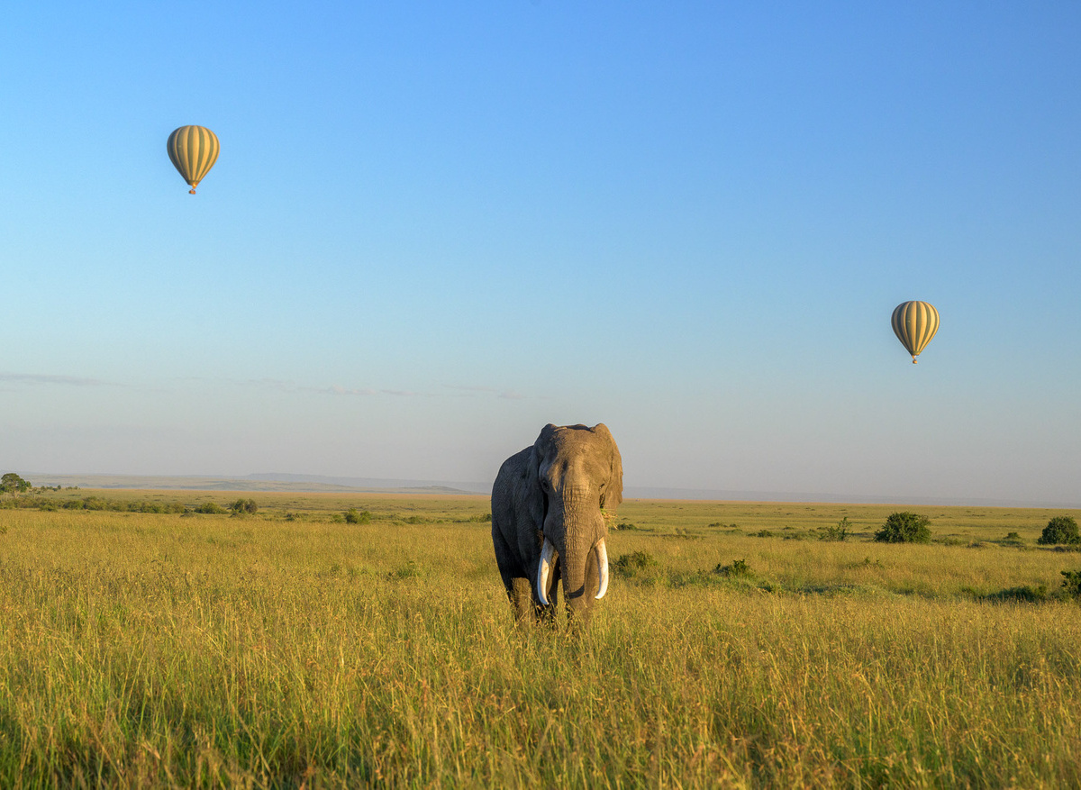 Ho Air Safaris Ballooning 