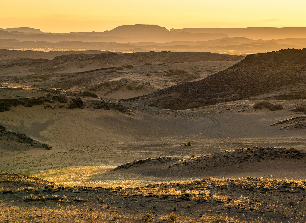 Nature Drive Scenery